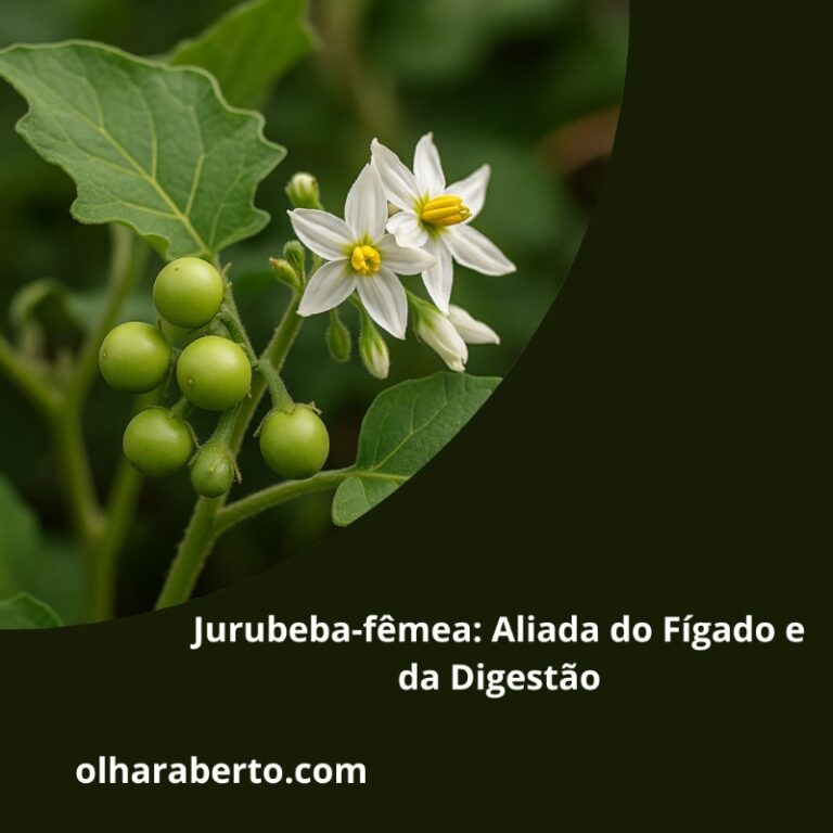 Read more about the article Jurubeba-fêmea: Aliada do Fígado e da Digestão