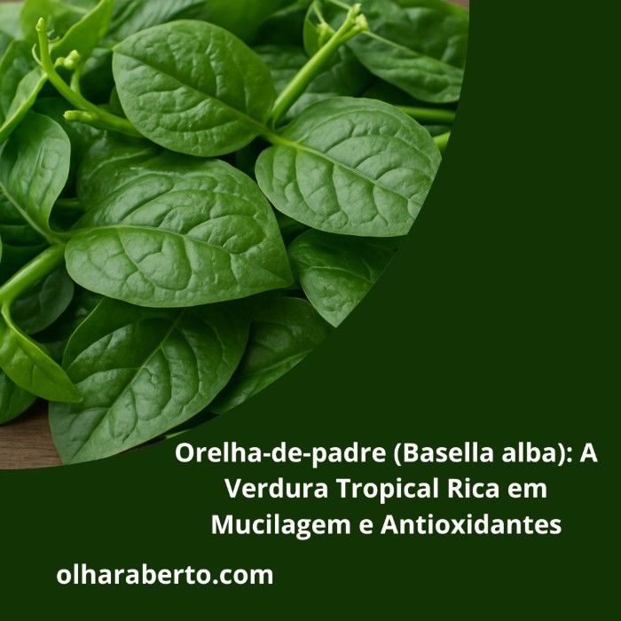 Read more about the article Orelha-de-padre (Basella alba): A Verdura Tropical Rica em Mucilagem e Antioxidantes