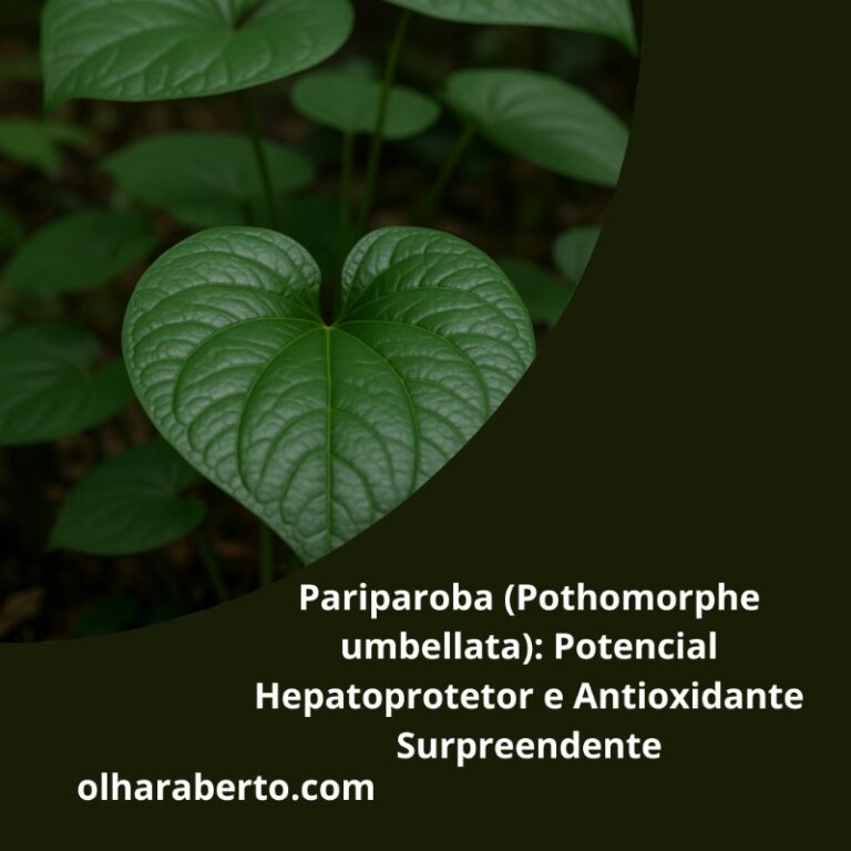Read more about the article Pariparoba (Pothomorphe umbellata): Potencial Hepatoprotetor e Antioxidante Surpreendente
