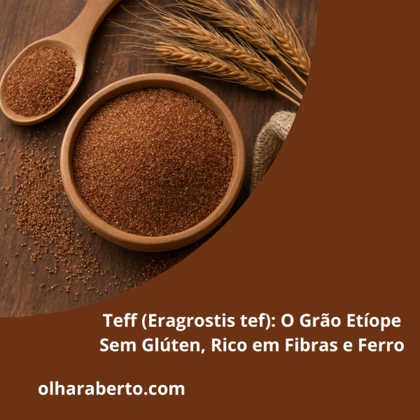 Read more about the article Teff (Eragrostis tef): O Grão Etíope Sem Glúten, Rico em Fibras e Ferro