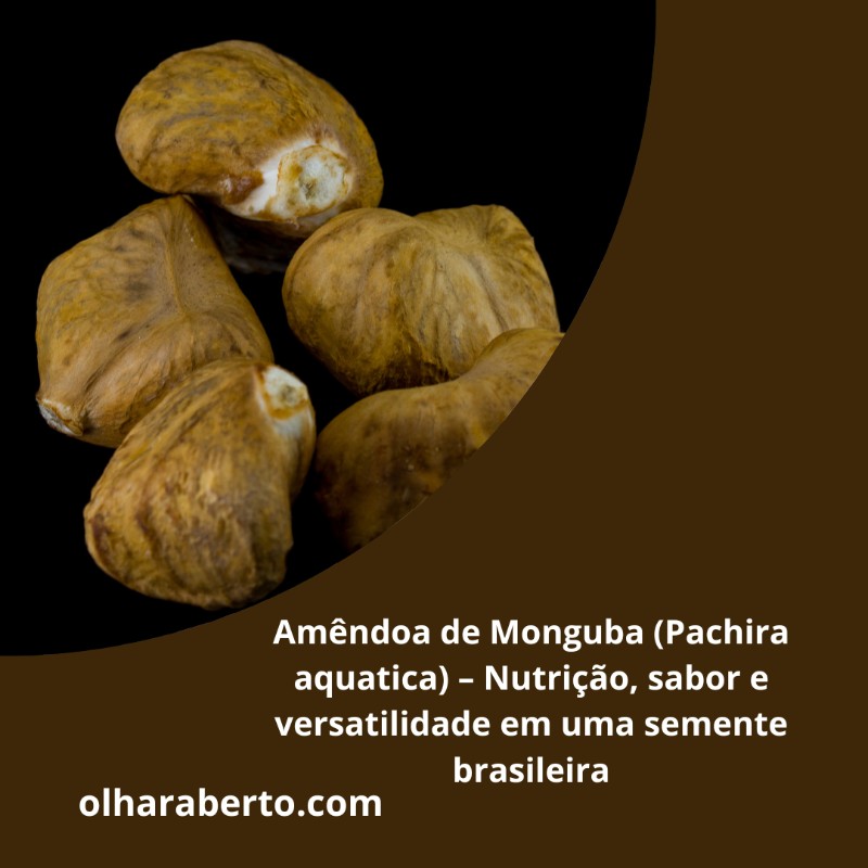 You are currently viewing Amêndoa de Monguba (Pachira aquatica) – Nutrição, sabor e versatilidade em uma semente brasileira