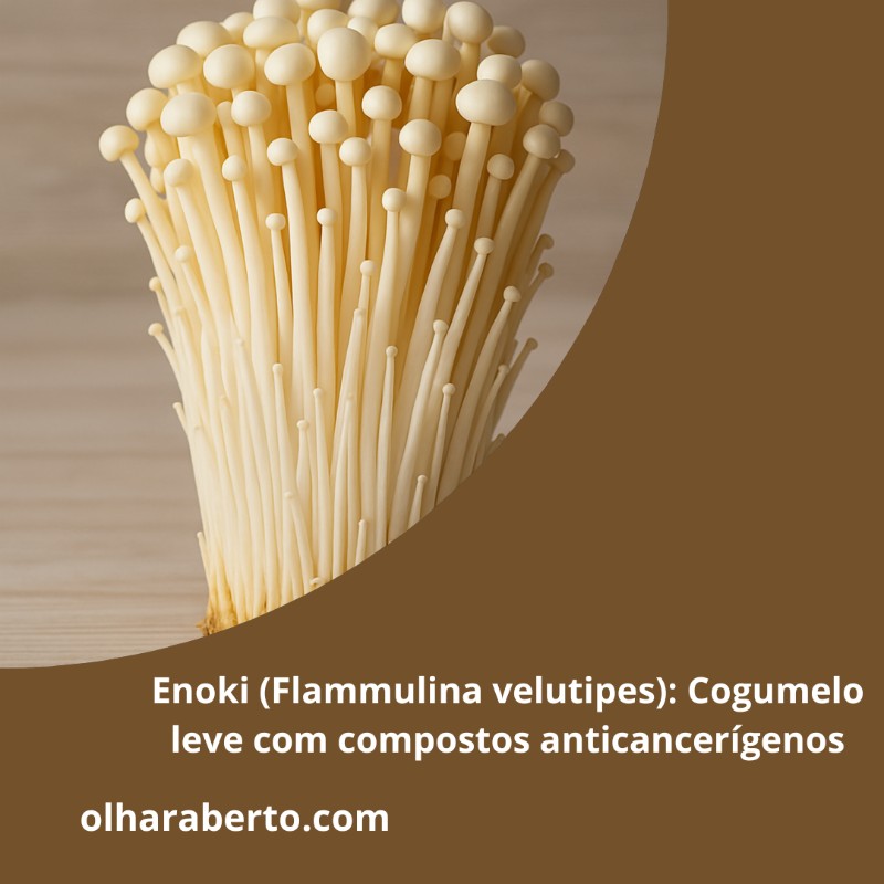 You are currently viewing Enoki (Flammulina velutipes): Cogumelo leve com compostos anticancerígenos
