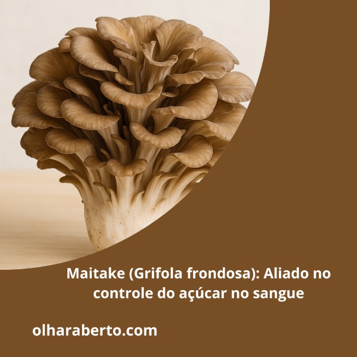Read more about the article Maitake (Grifola frondosa): Aliado no controle do açúcar no sangue