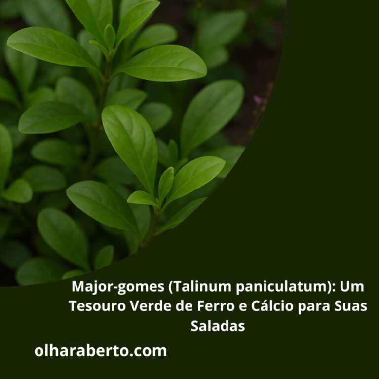 Read more about the article Major-gomes (Talinum paniculatum): Um Tesouro Verde de Ferro e Cálcio para Suas Saladas