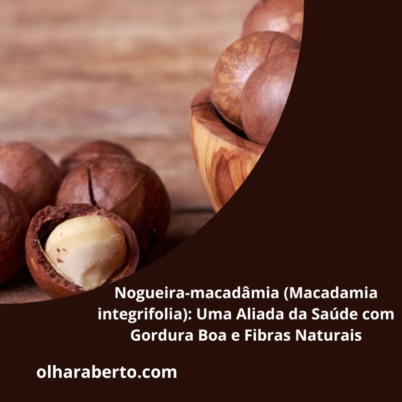 You are currently viewing Nogueira-macadâmia (Macadamia integrifolia): Uma Aliada da Saúde com Gordura Boa e Fibras Naturais