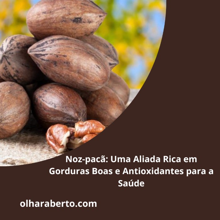 Read more about the article Noz-pacã: Uma Aliada Rica em Gorduras Boas e Antioxidantes para a Saúde