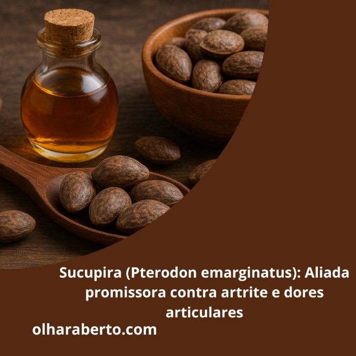 Read more about the article Sucupira (Pterodon emarginatus): Aliada promissora contra artrite e dores articulares