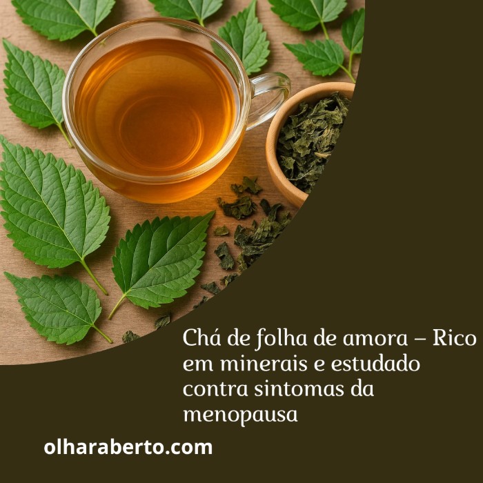 Read more about the article Chá de folha de amora – Rico em minerais e estudado contra sintomas da menopausa