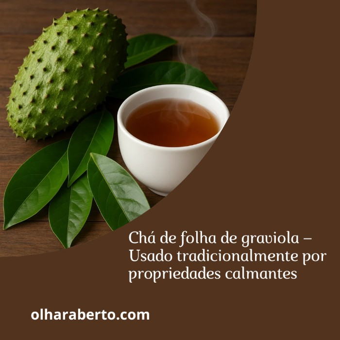 Read more about the article Chá de folha de graviola – Usado tradicionalmente por propriedades calmantes