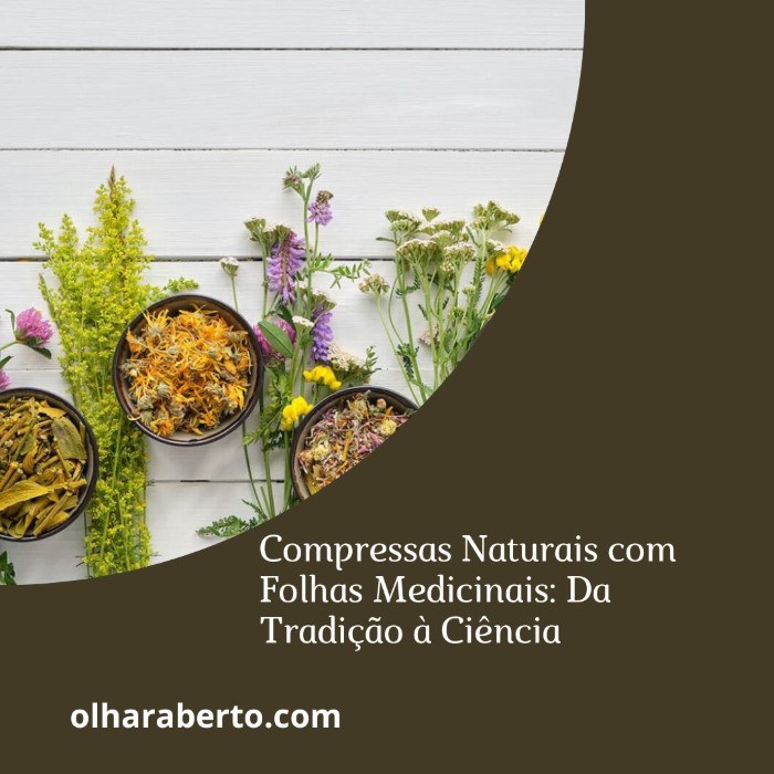Read more about the article Compressas Naturais com Folhas Medicinais: Da Tradição à Ciência
