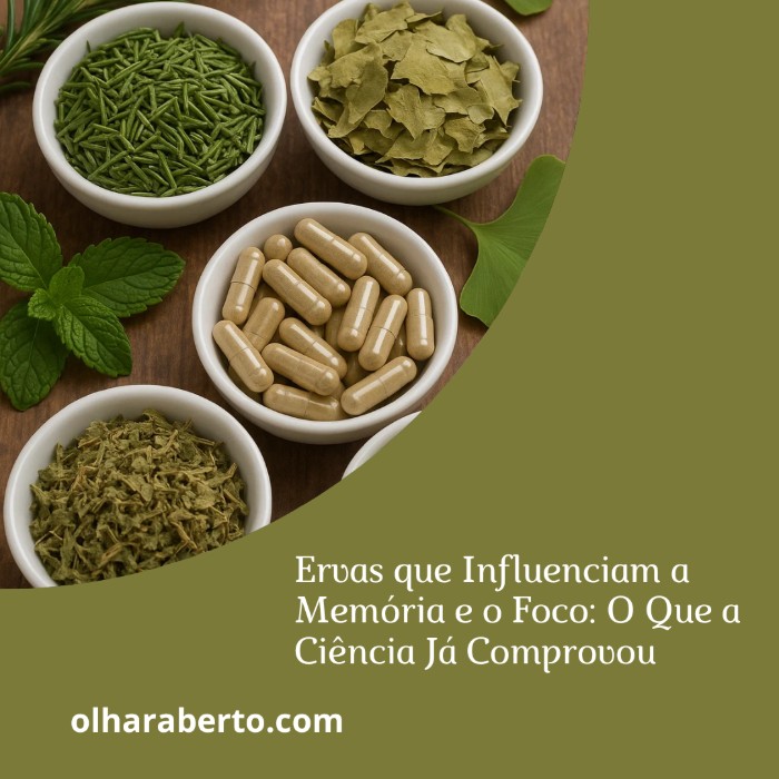 Read more about the article Ervas que Influenciam a Memória e o Foco: O Que a Ciência Já Comprovou
