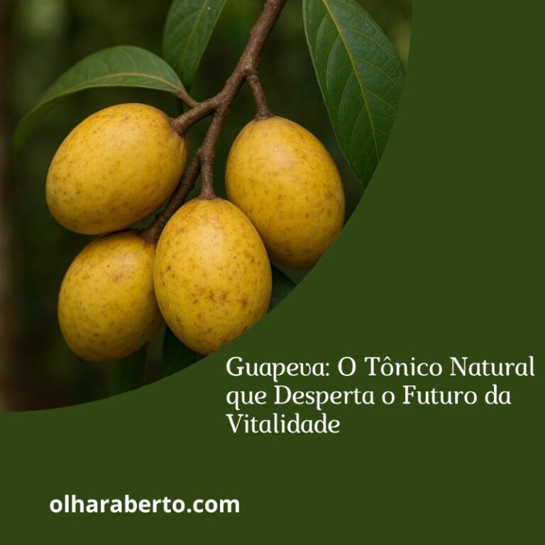 Read more about the article Guapeva: O Tônico Natural que Desperta o Futuro da Vitalidade