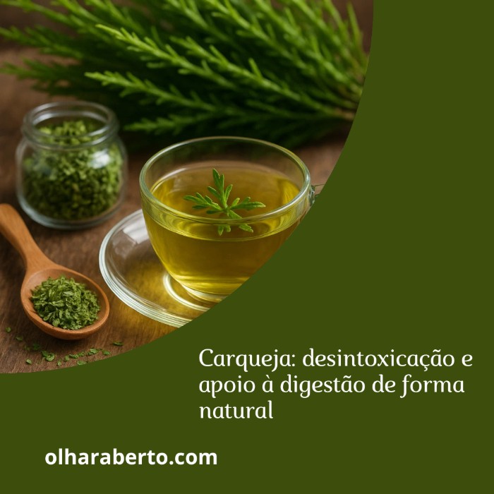 Read more about the article Carqueja: desintoxicação e apoio à digestão de forma natural