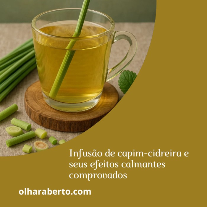Read more about the article Infusão de capim-cidreira e seus efeitos calmantes comprovados