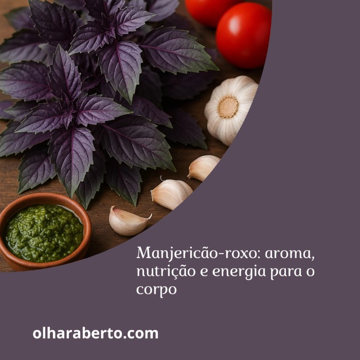Read more about the article Manjericão-roxo: aroma, nutrição e energia para o corpo