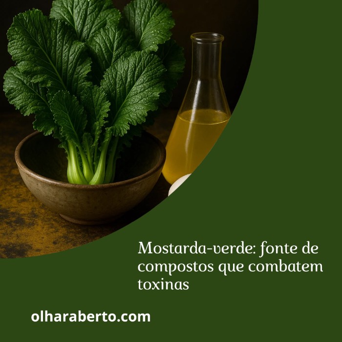 Read more about the article Mostarda-verde: fonte de compostos que combatem toxinas