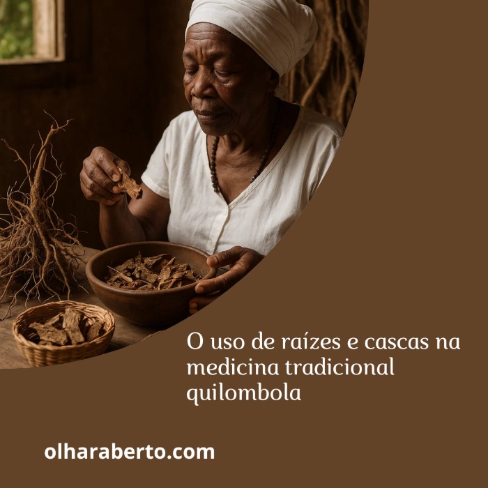 Read more about the article O uso de raízes e cascas na medicina tradicional quilombola