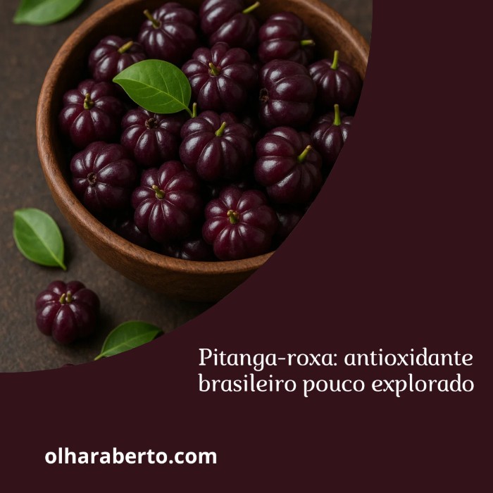 Read more about the article Pitanga-roxa: antioxidante brasileiro pouco explorado