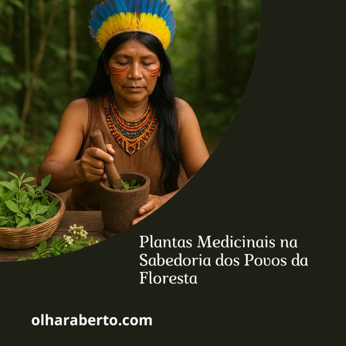 Read more about the article Plantas Medicinais na Sabedoria dos Povos da Floresta