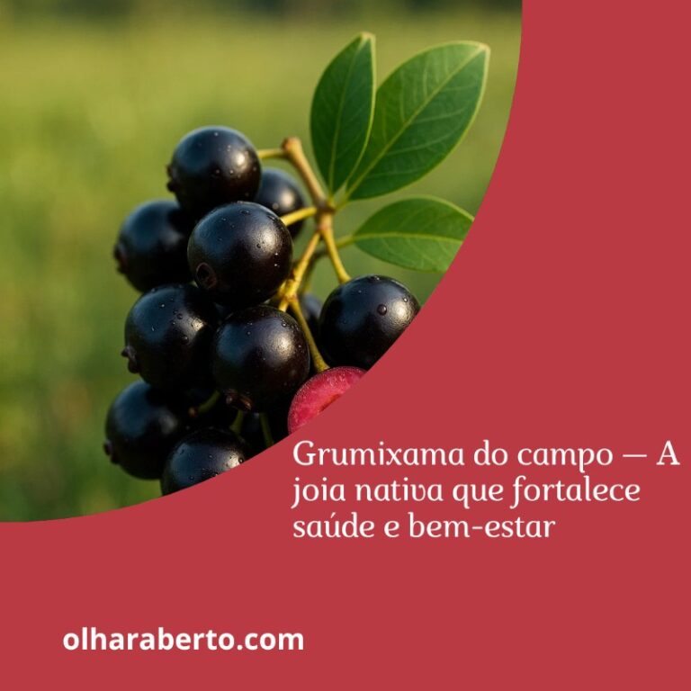 Read more about the article Grumixama do campo — A joia nativa que fortalece saúde e bem-estar