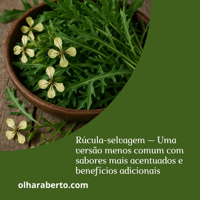 Read more about the article Rúcula-selvagem: intensidade de sabor e benefícios extras para o seu bem-estar
