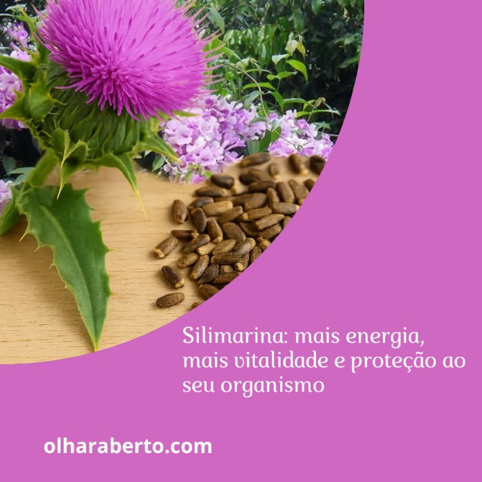 Read more about the article Silimarina: mais energia, mais vitalidade e proteção ao seu organismo