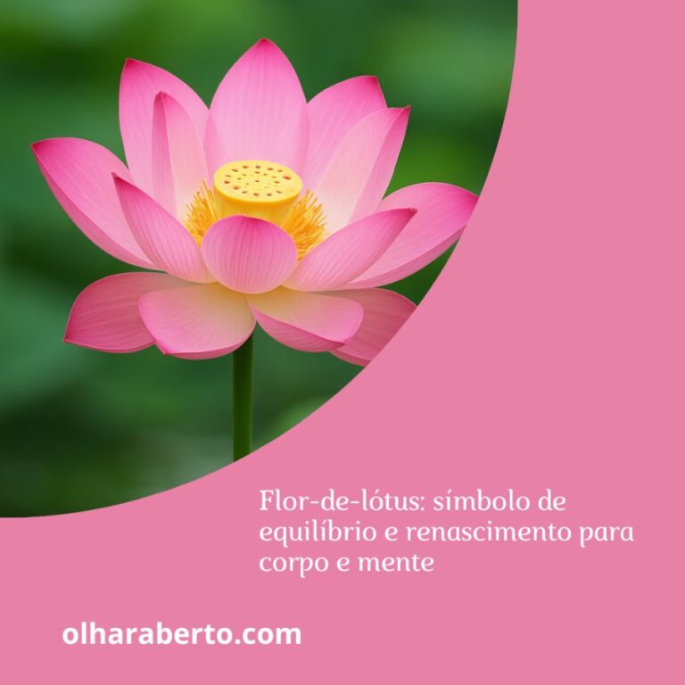 Read more about the article Flor-de-lótus: símbolo de equilíbrio e renascimento para corpo e mente