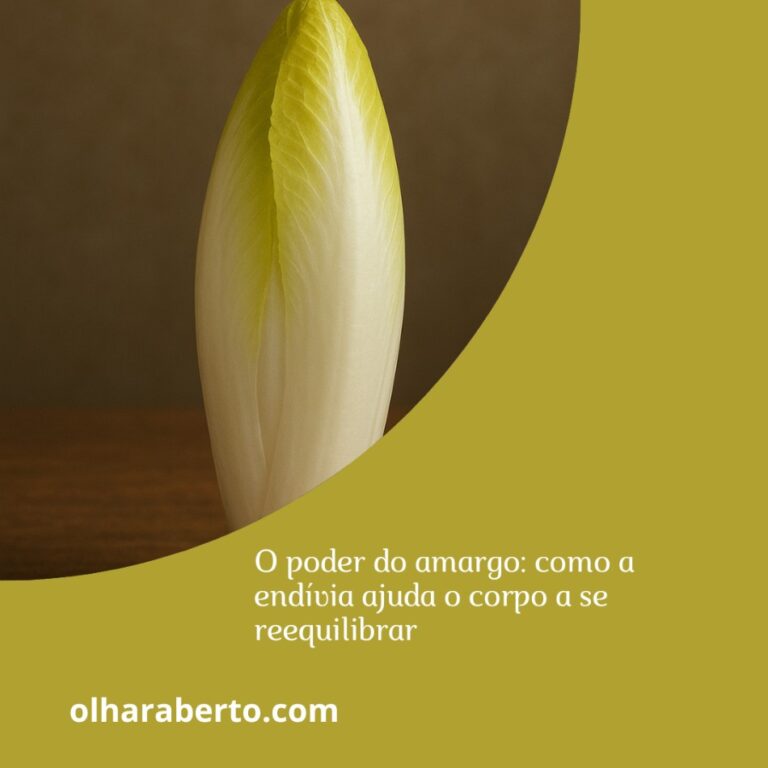 Read more about the article O poder do amargo: como a endívia ajuda o corpo a se reequilibrar