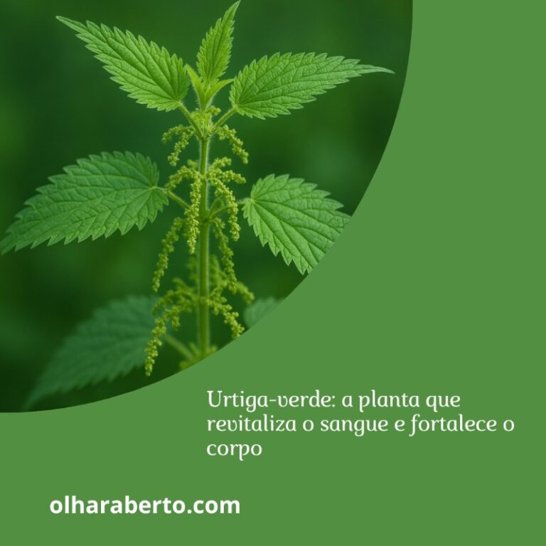 Read more about the article Urtiga-verde: a planta que revitaliza o sangue e fortalece o corpo
