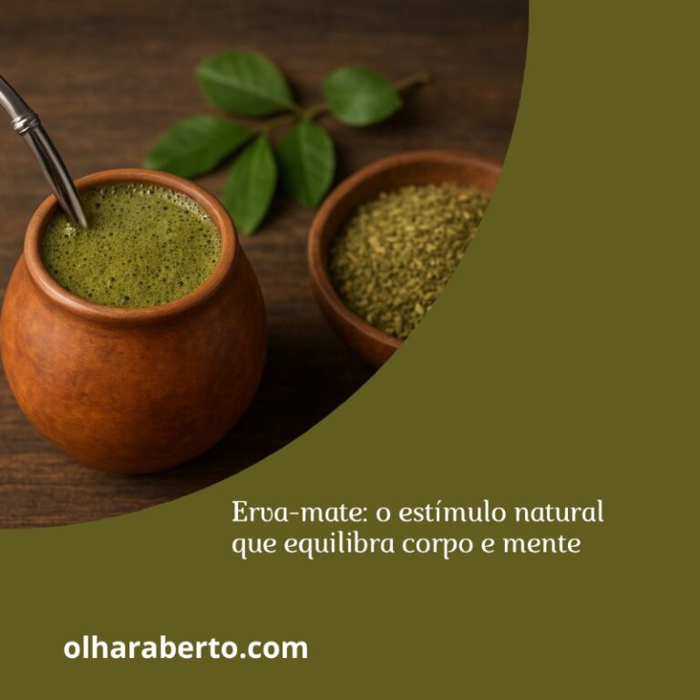 Read more about the article Erva-mate: o estímulo natural que equilibra corpo e mente