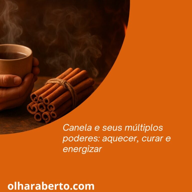 Read more about the article Canela e seus múltiplos poderes: aquecer, curar e energizar