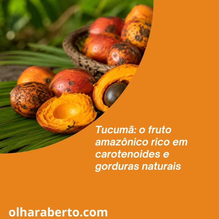 Read more about the article Tucumã: o fruto amazônico rico em carotenoides e gorduras naturais